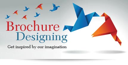 brochure-designimg